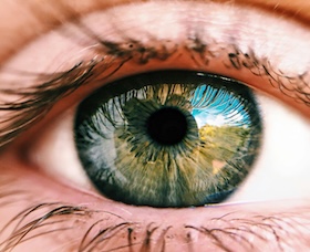 eye
